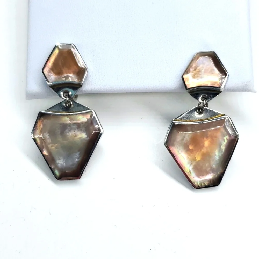 Vintage 70s Abalone Shell Silver Screw Back Earrings